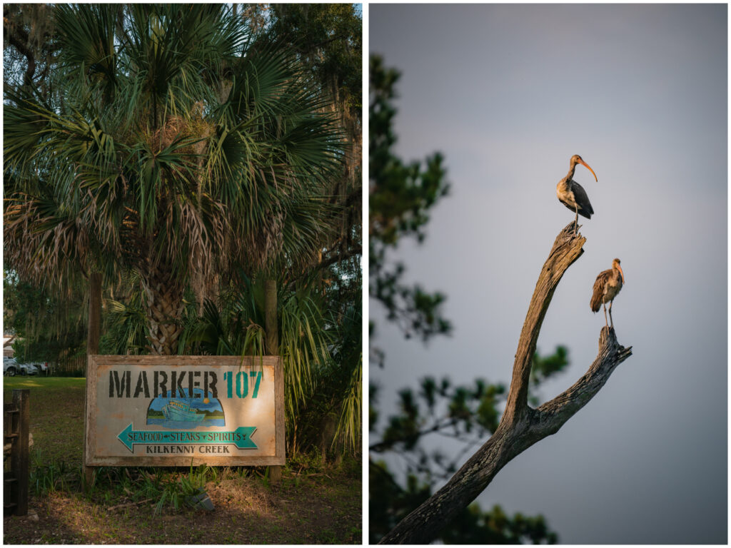 Birds in a tree at Marker 107