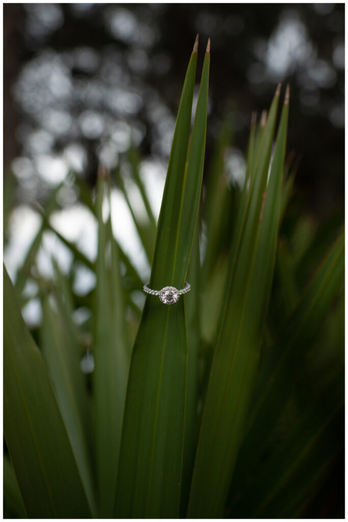 Round diamond wedding ring on a palm frond by Coastal Chic Studios